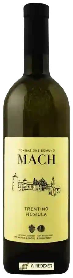 Weingut Fondazione Edmund Mach - Nosiola Trentino Weingut Fondazione Edmund Mach - Nosiola Trentino