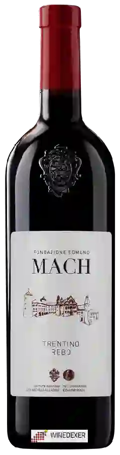 Weingut Fondazione Edmund Mach - Rebo Trentino