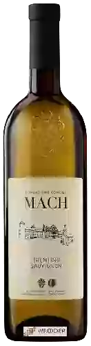 Weingut Fondazione Edmund Mach - Sauvignon Trentino