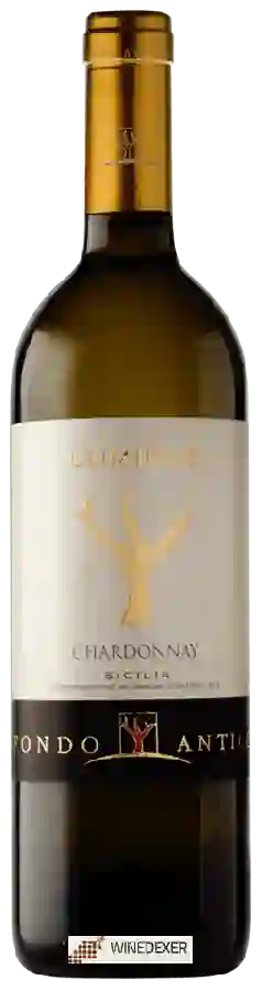Weingut Fondo Antico - Lumière Chardonnay Weingut Fondo Antico - Lumière Chardonnay