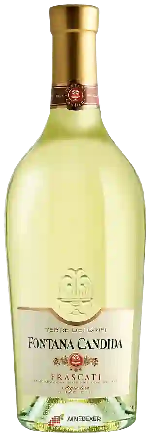 Weingut Fontana Candida - Terre Dei Grifi Frascati Superiore