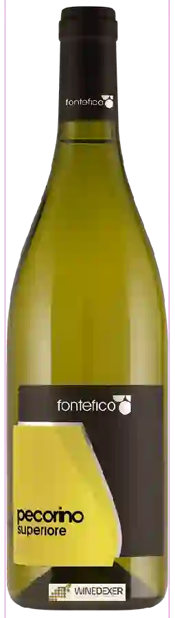 Weingut Fontefico - Pecorino Superiore Weingut Fontefico - Pecorino Superiore
