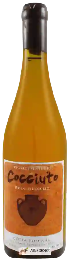 Weingut Fontuccia - Senti Oh! Cocciuto Ansonica Weingut Fontuccia - Senti Oh! Cocciuto Ansonica