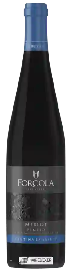 Weingut Forcola - Merlot Weingut Forcola - Merlot