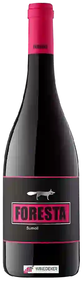 Weingut Foresta - Sumoll