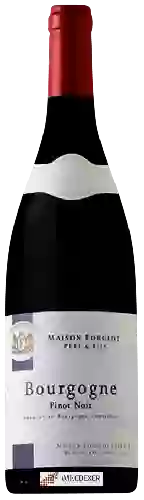 Weingut Forgeot Pere & Fils - Bourgogne Pinot Noir