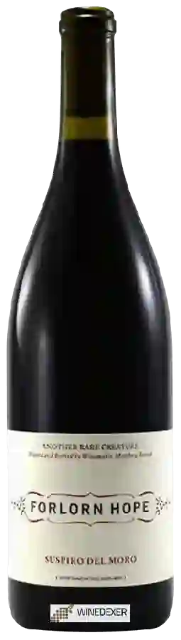 Weingut Forlorn Hope - Suspiro del Moro (Silvaspoons Vineyard) Weingut Forlorn Hope - Suspiro del Moro (Silvaspoons Vineyard)