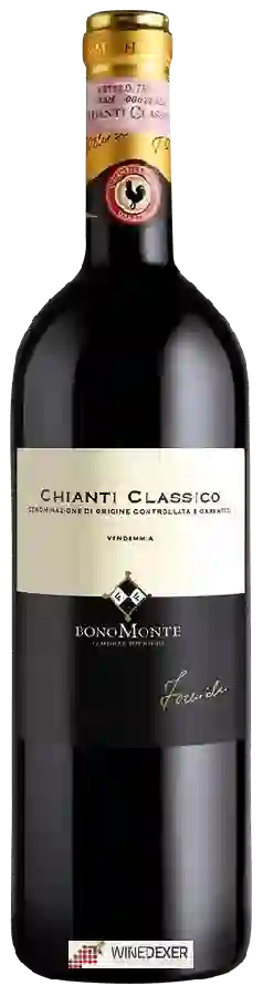 Weingut Tenuta Bonomonte Famiglia Formichi - Chianti Classico