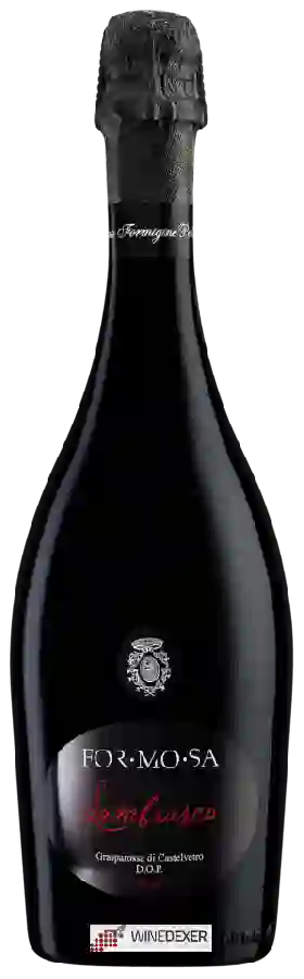 Weingut Formigine Pedemontana - For.Mo.Sa Lambrusco
