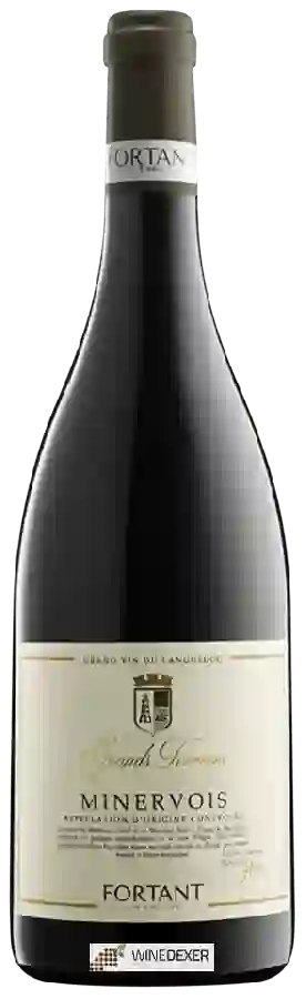Weingut Fortant - Grands Terroirs Minervois