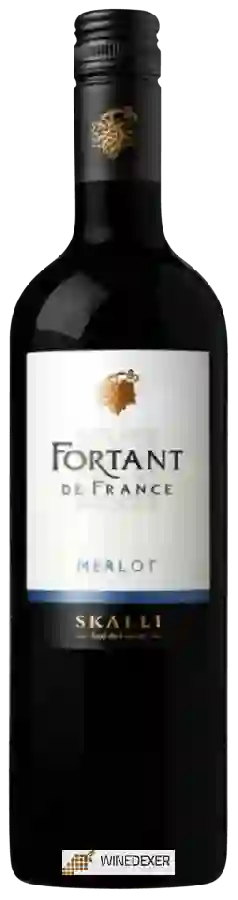 Weingut Fortant - Merlot Weingut Fortant - Merlot