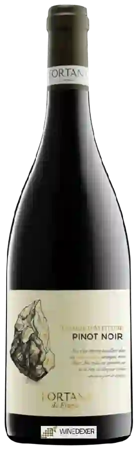 Weingut Fortant - Terroir d'Altitude Pinot Noir Weingut Fortant - Terroir d'Altitude Pinot Noir