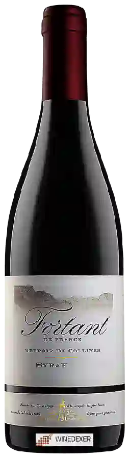 Weingut Fortant - Terroir De Collines Syrah Weingut Fortant - Terroir De Collines Syrah
