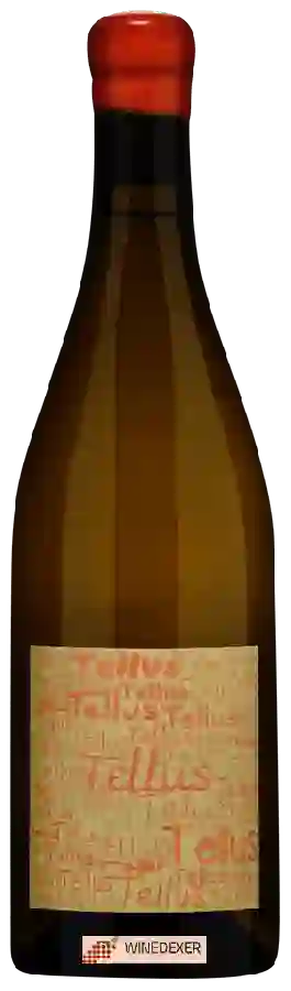 Domaine Fouassier - Sancerre Tellus Domaine Fouassier - Sancerre Tellus