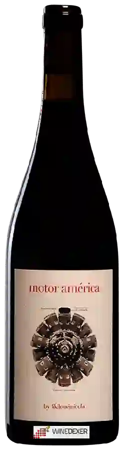 Weingut 4 Kilos Vinícola - Motor América Tinto