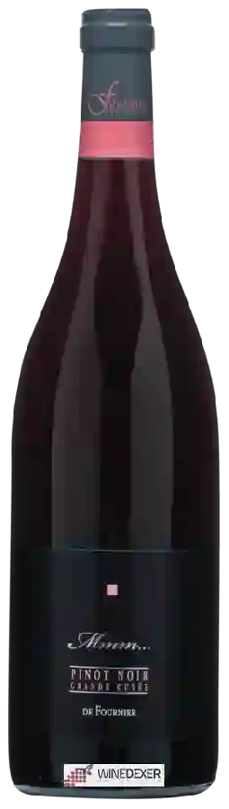Weingut Fournier Pere & Fils - Mmm... Grande Cuvée Pinot Noir