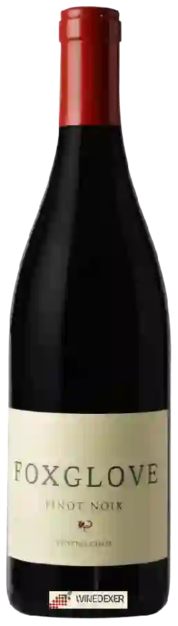Weingut Foxglove - Pinot Noir