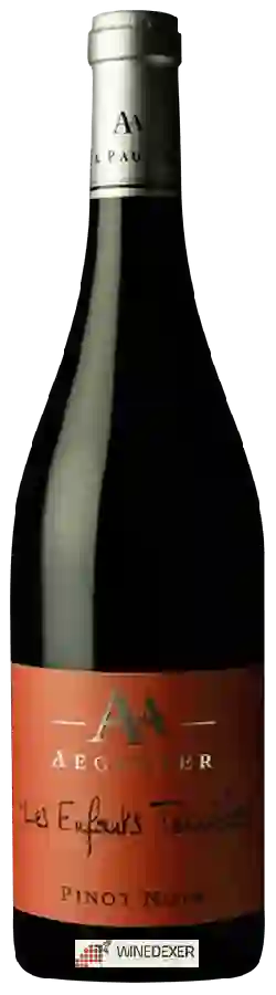 Weingut Aegerter - Les Enfants Terribles Pinot Noir Weingut Aegerter - Les Enfants Terribles Pinot Noir