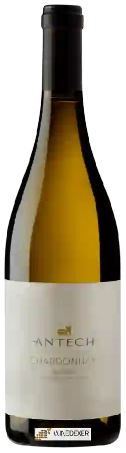 Weingut Antech - Chardonnay