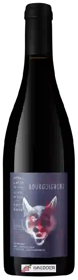 Weingut Chapuis & Chapuis - Coteaux Bourguignons Rouge