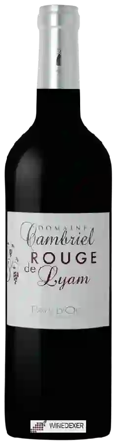 Château Cambriel - Lyam