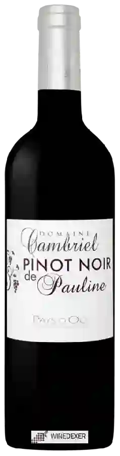 Château Cambriel - Pinot Noir de Pauline Château Cambriel - Pinot Noir de Pauline