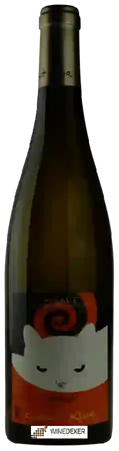 Weingut Clément Klur - Voyou de Katz Weingut Clément Klur - Voyou de Katz