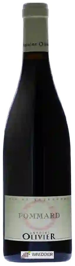 Domaine Antoine Olivier - Pommard Domaine Antoine Olivier - Pommard