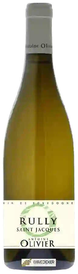 Domaine Antoine Olivier - Rully 'Saint Jacques'