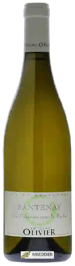 Domaine Antoine Olivier - Santenay 'Les Côteaux Sous la Roche' Domaine Antoine Olivier - Santenay 'Les Côteaux Sous la Roche'