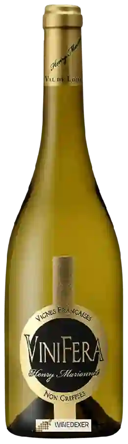 Weingut Henry Marionnet - Vinifera Sauvignon Blanc Weingut Henry Marionnet - Vinifera Sauvignon Blanc