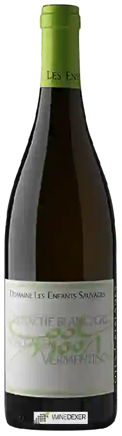 Domaine Les Enfants Sauvages - Cool Moon Domaine Les Enfants Sauvages - Cool Moon