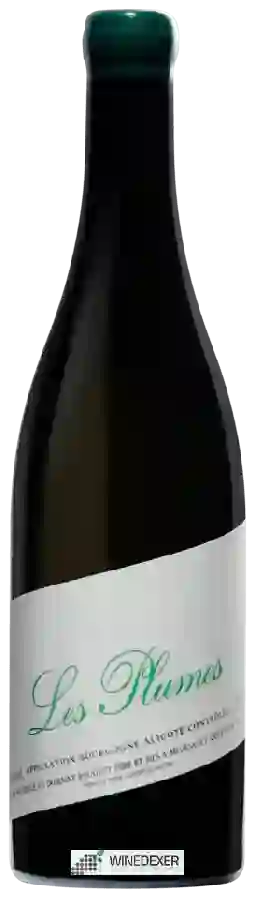 Domaine Rougeot - Les Plumes