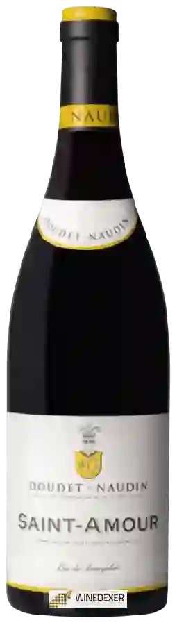 Weingut Doudet Naudin - Saint-Amour