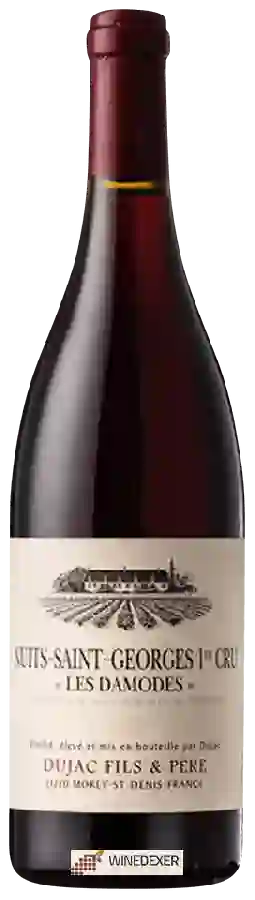 Weingut Dujac Fils et Père - Les Damodes Nuits-Saint-Georges 1er Cru Weingut Dujac Fils et Père - Les Damodes Nuits-Saint-Georges 1er Cru