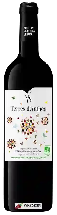 Weingut Les Vignerons de Buzet - Terres d'Anthéa