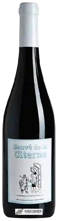 Weingut Mas Coutelou - Sauvé de la Citerne