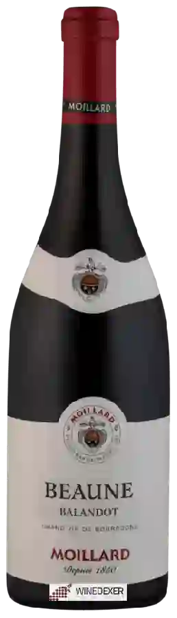 Weingut Moillard - Balandot Beaune Weingut Moillard - Balandot Beaune