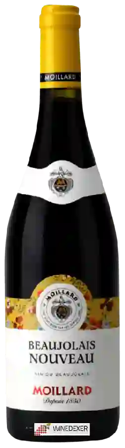 Weingut Moillard - Beaujolais Nouveau