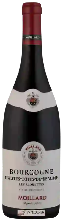 Weingut Moillard - Bourgogne Hautes Côtes de Beaune Les Alouettes