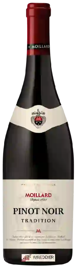 Weingut Moillard - Bourgogne Pinot Noir Tradition