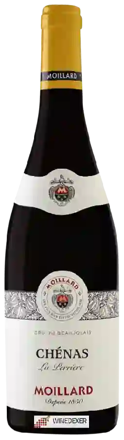 Weingut Moillard - Chénas