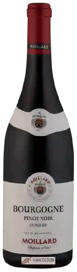 Weingut Moillard - Le Duché Bourgogne Pinot Noir