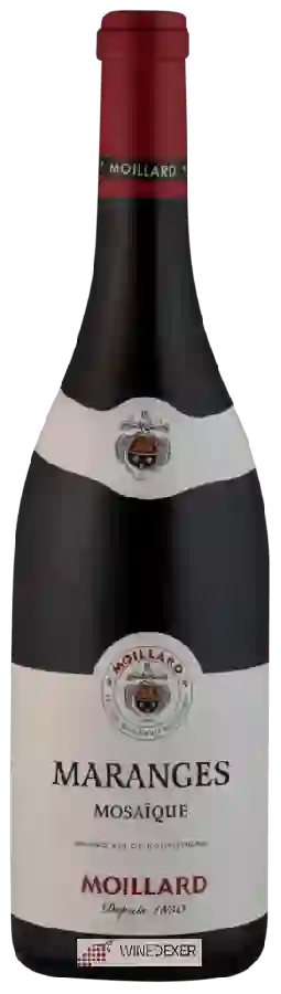 Weingut Moillard - Mosaïque Maranges Weingut Moillard - Mosaïque Maranges