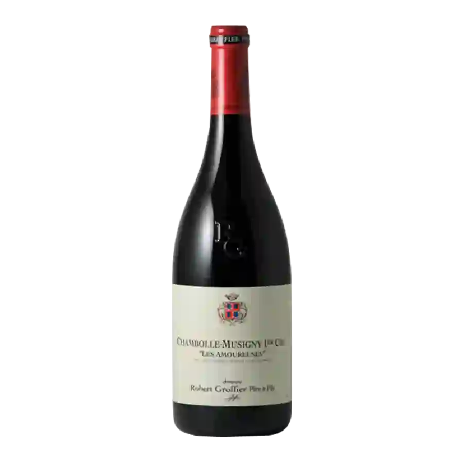 Weingut Nicolas Potel - Gevrey-Chambertin 1er Cru 'Combe au Moine'