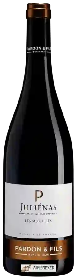 Weingut Pardon & Fils - Les Mouilles Juliénas