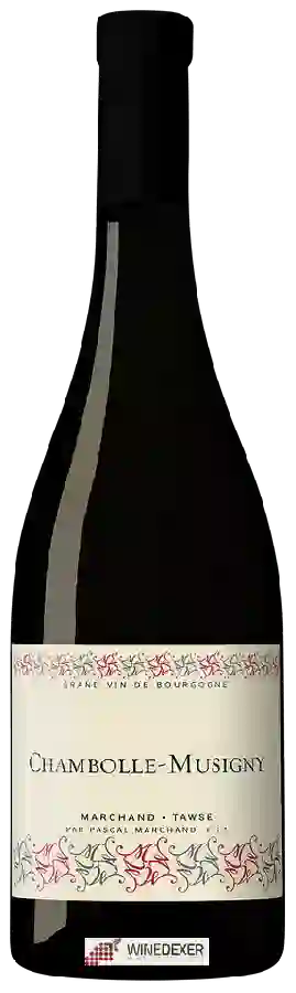 Weingut Pascal Marchand-Tawse - Chambolle-Musigny
