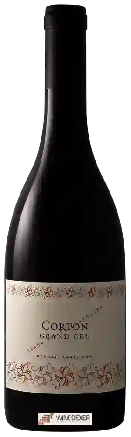 Weingut Pascal Marchand-Tawse - Corton Grand Cru