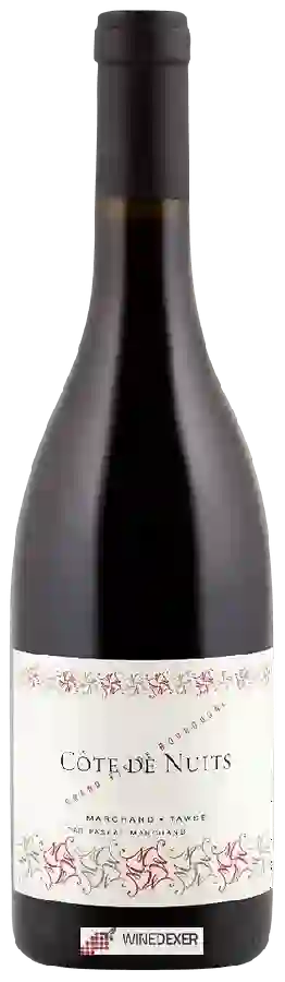 Weingut Pascal Marchand-Tawse - Côte de Nuits