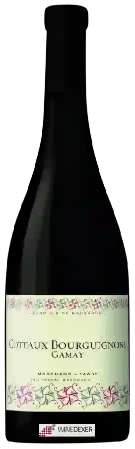 Weingut Pascal Marchand-Tawse - Côteaux Bourguignons Gamay